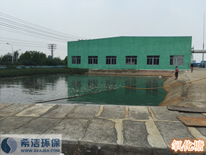 污水磷超标现场“氧塘” 污水磷超标现场“氧塘”